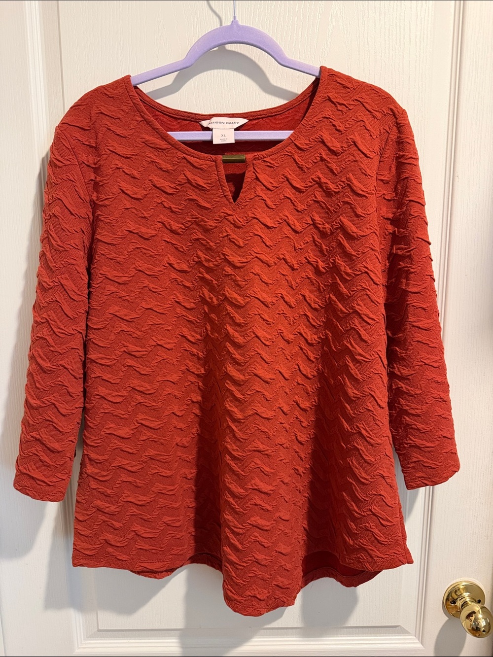 Allison Daley Textured Rust-Red Notch-Neck Tunic